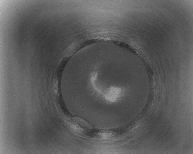 X0000062830693200601171420