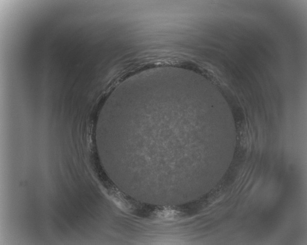 X0000062830695200601171420