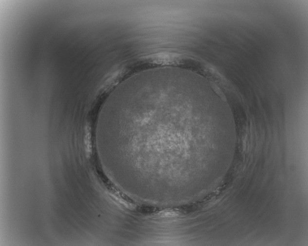 X0000062830696200601171420