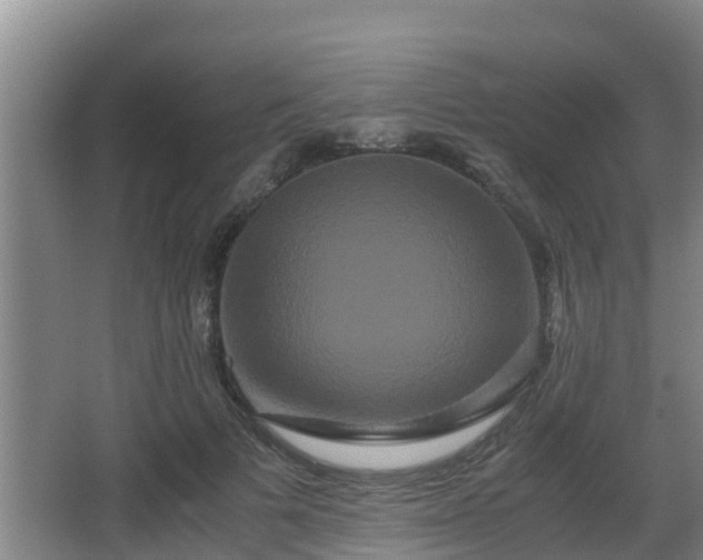 X0000062830697200601171420