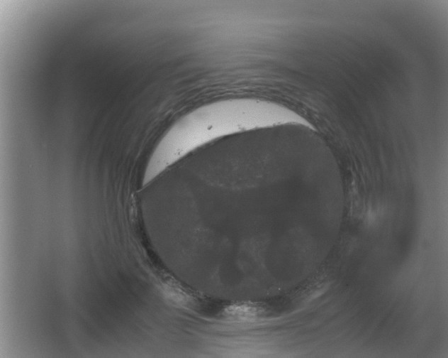 X0000062830699200601171420