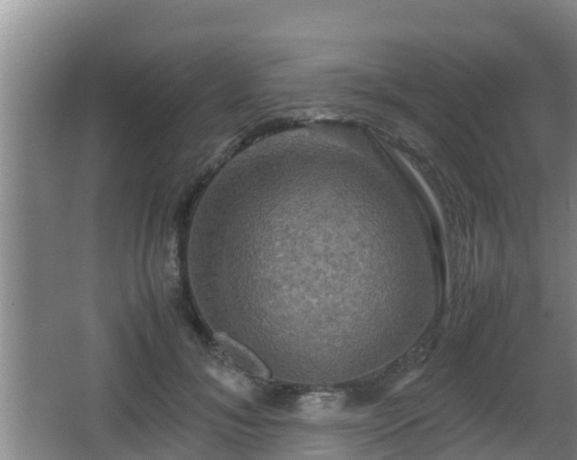 X0000062830700200601171420