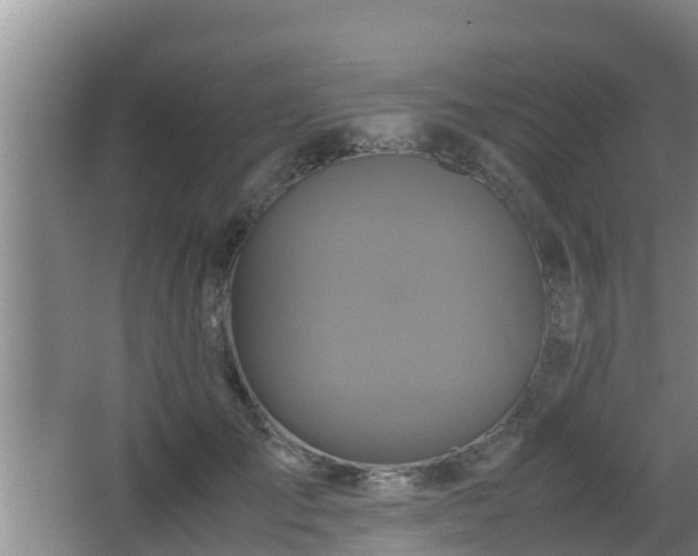 X0000062830701200601171420