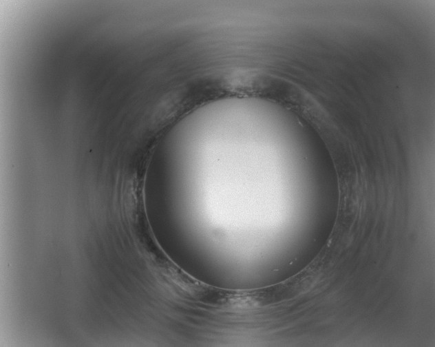 X0000062830702200601171420