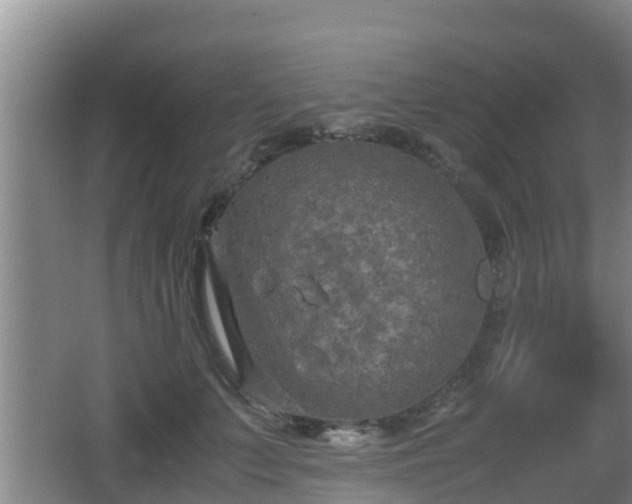 X0000062830703200601171419