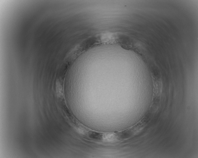 X0000062830705200601171419