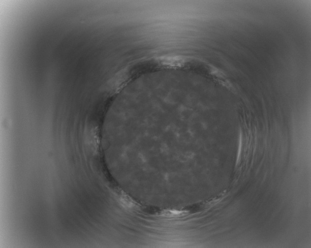 X0000062830707200601171419