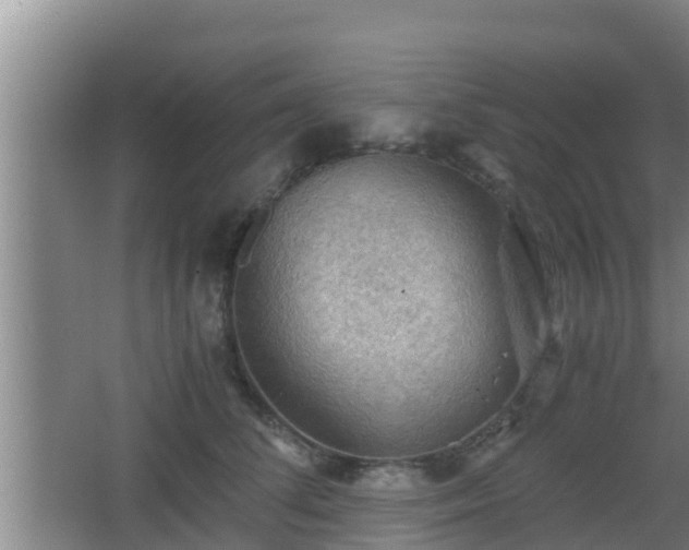 X0000062830708200601171419