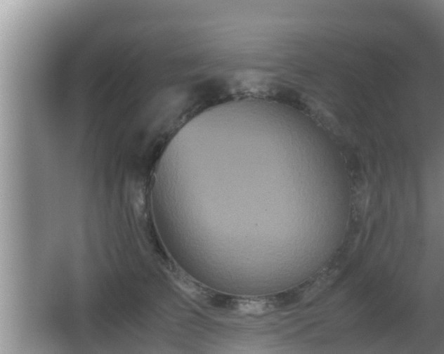 X0000062830709200601171419