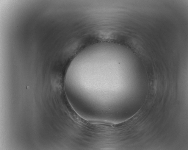 X0000062830710200601171419