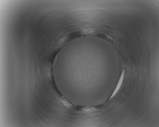 X0000062830712200601171419