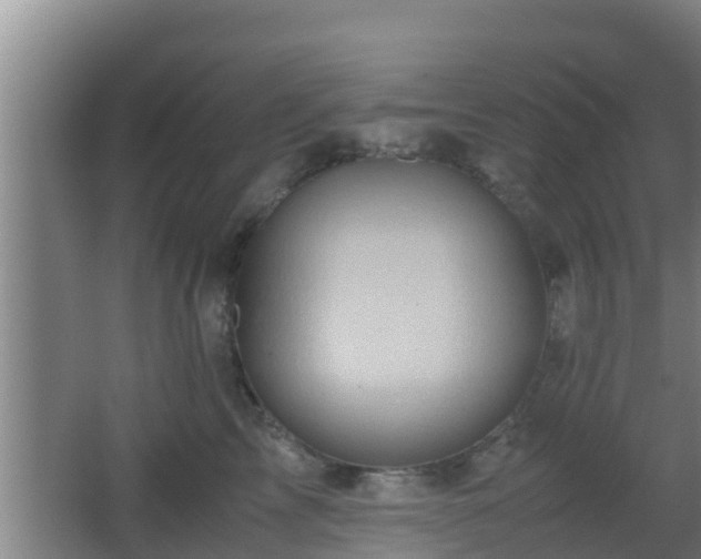 X0000062830713200601171419