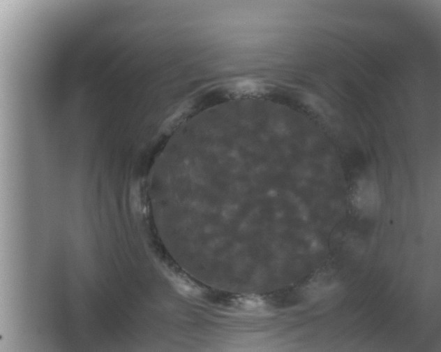 X0000062830715200601171419