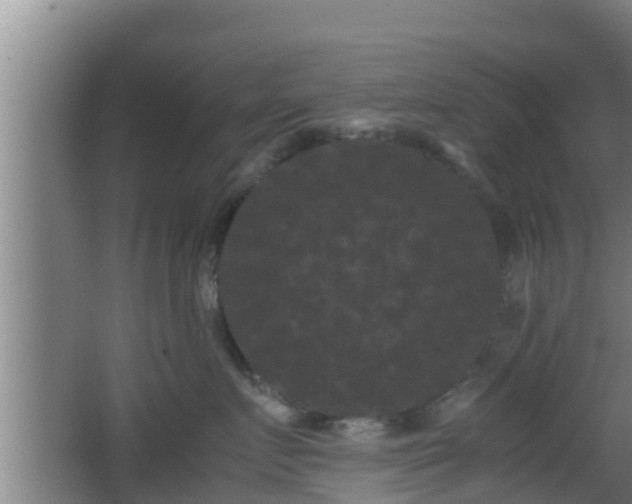 X0000062830719200601171419