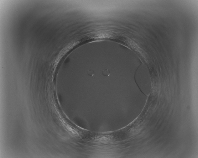 X0000062830721200601171418