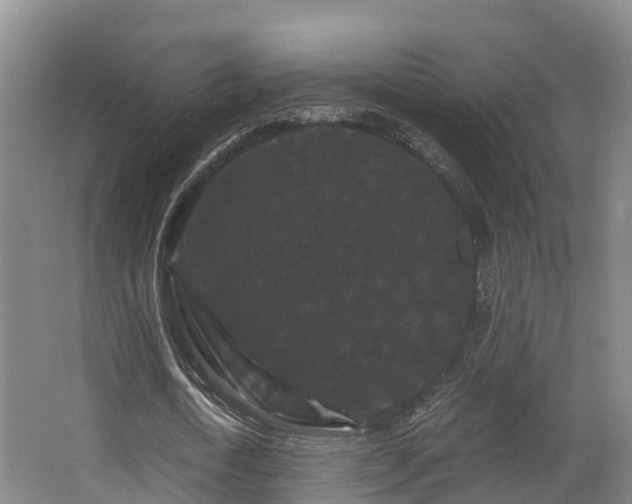 X0000062830722200601171418