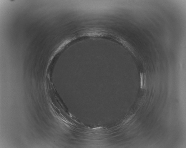 X0000062830723200601171418