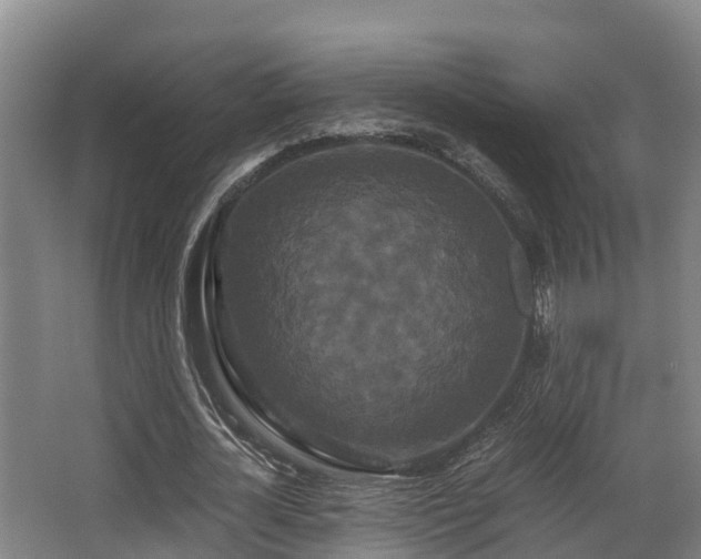 X0000062830724200601171418