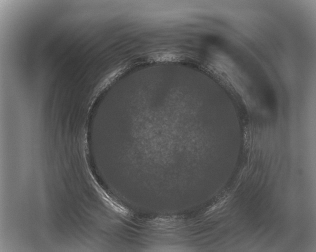 X0000062830725200601171418