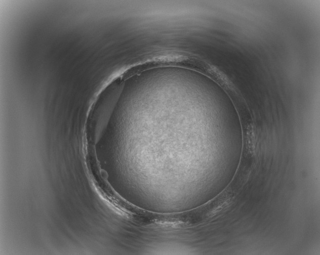 X0000062830726200601171418