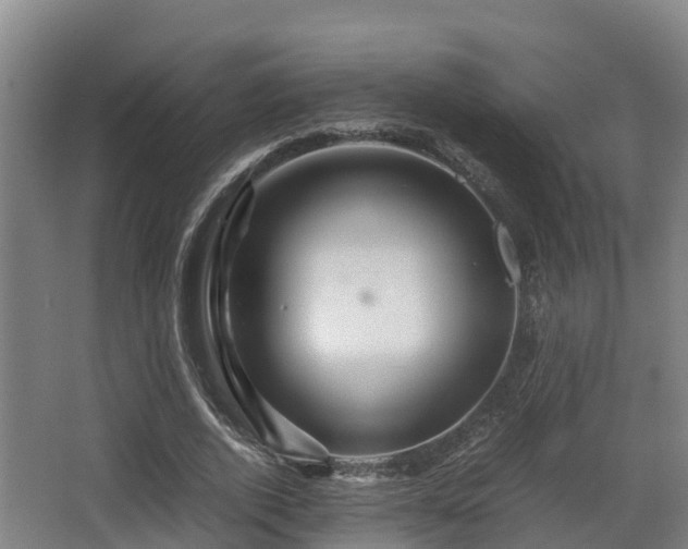 X0000062830728200601171419