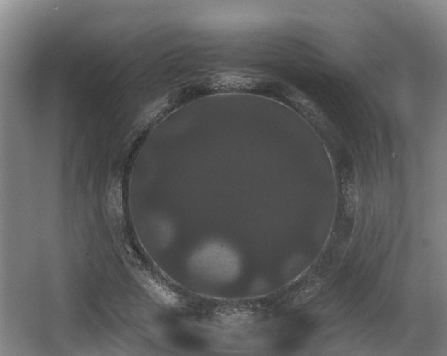 X0000062830729200601171419