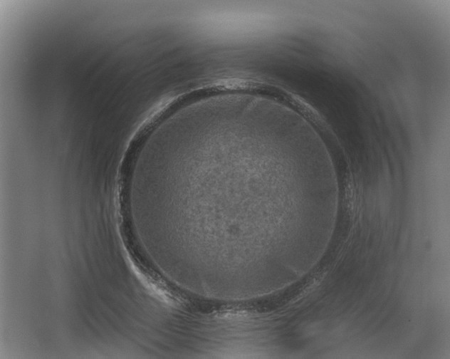 X0000062830730200601171419