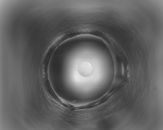 X0000062830731200601171419