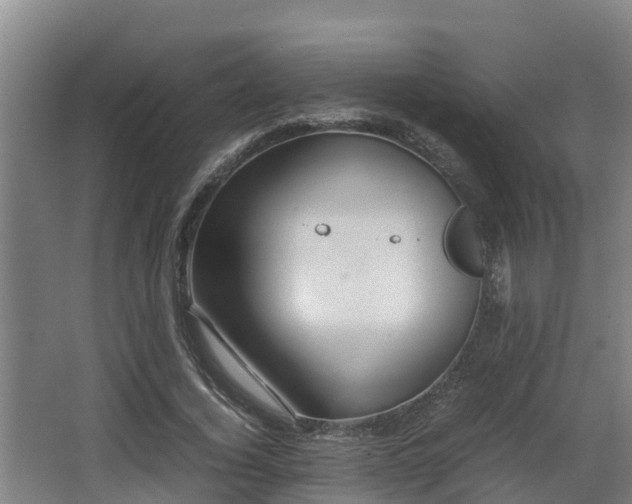 X0000062830732200601171419