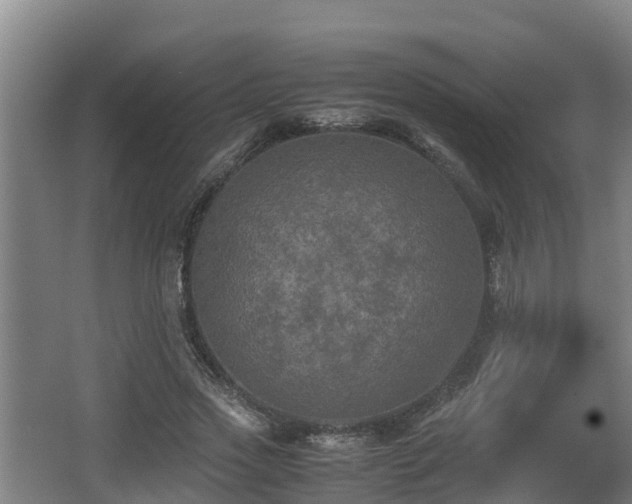 X0000062830733200601171419