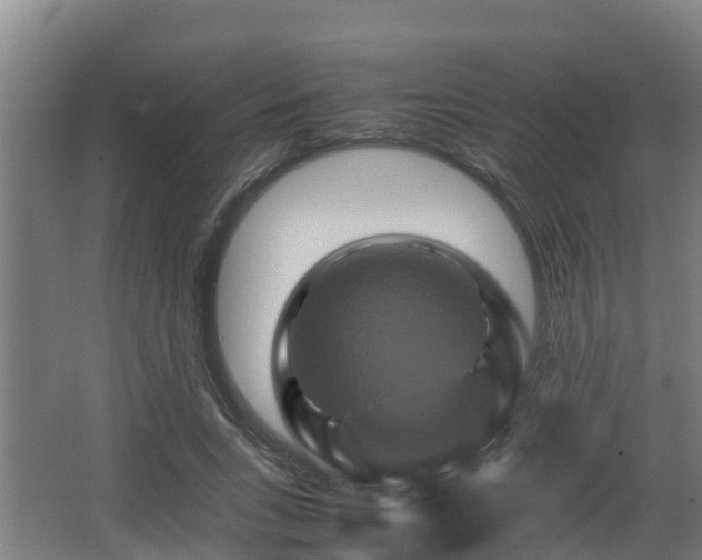 X0000062830735200601171419