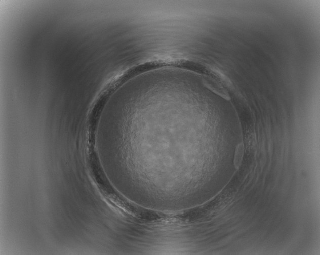 X0000062830736200601171419