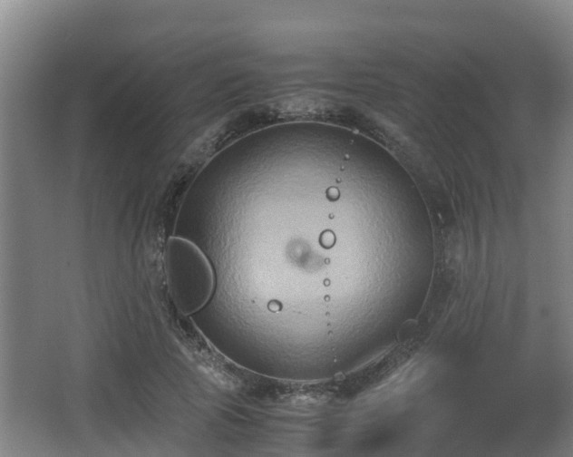 X0000062830737200601171419