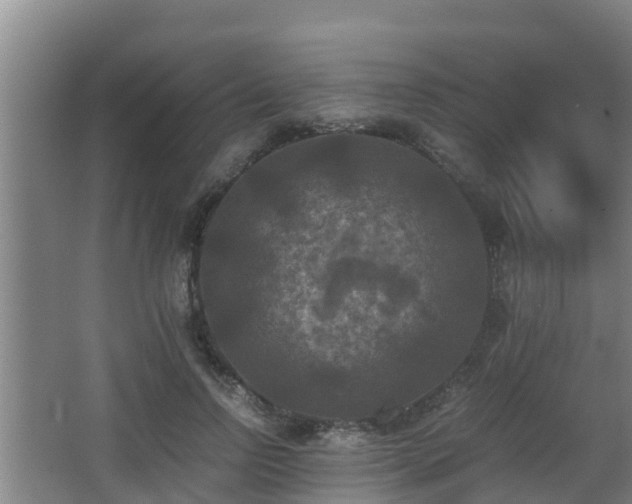 X0000062830742200601171419