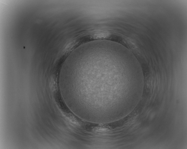 X0000062830743200601171419