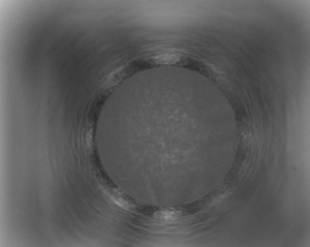 X0000062830745200601171419