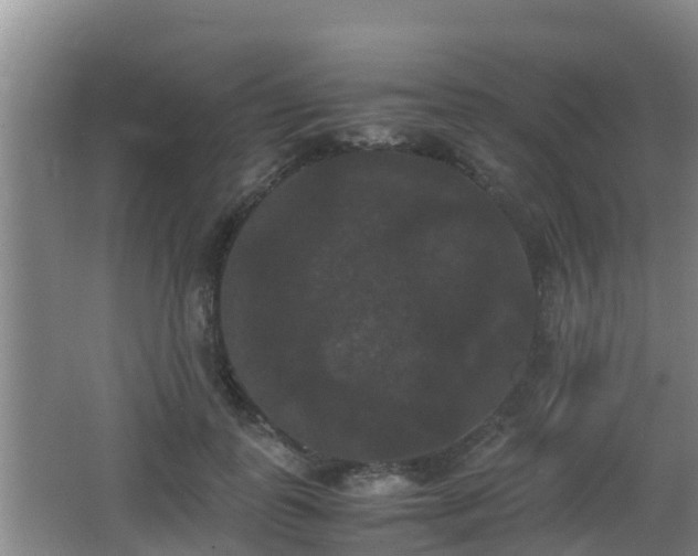 X0000062830747200601171419