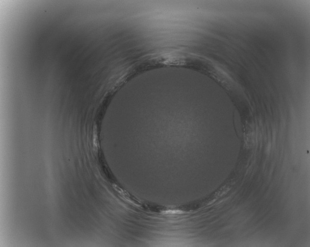 X0000062830748200601171419