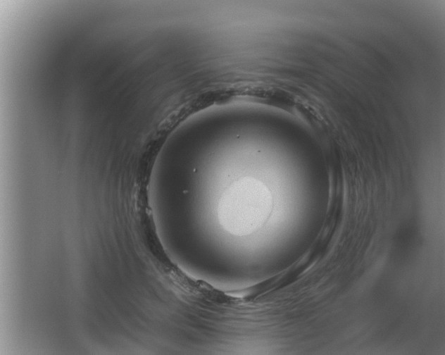 X0000062830750200601171419