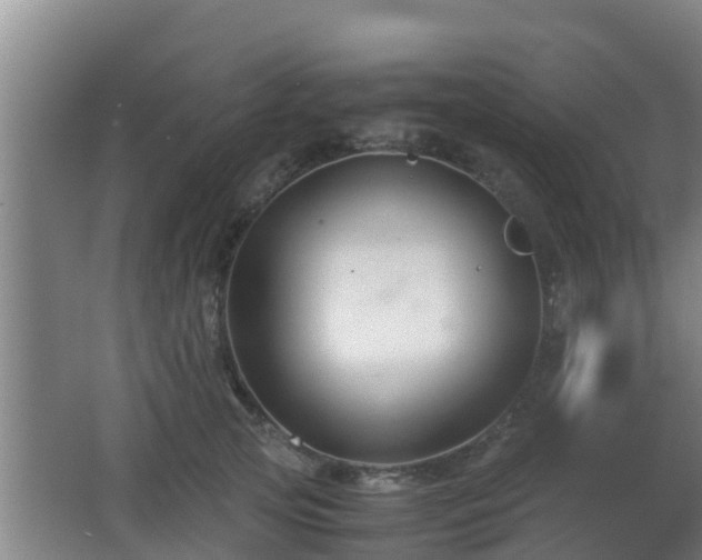 X0000062830753200601171419