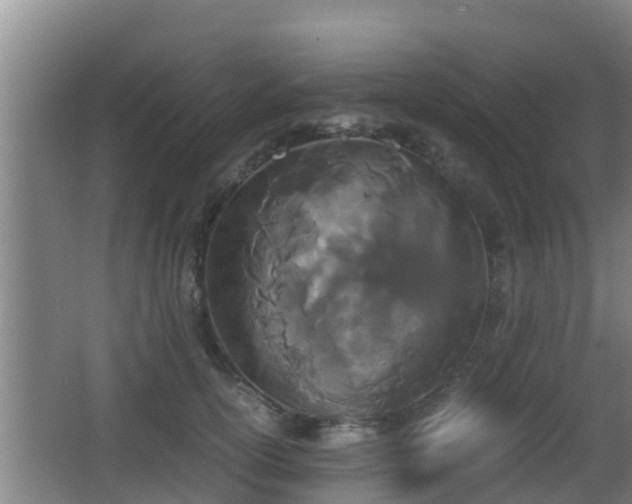 X0000062830754200601171419