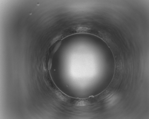 X0000062830755200601171419