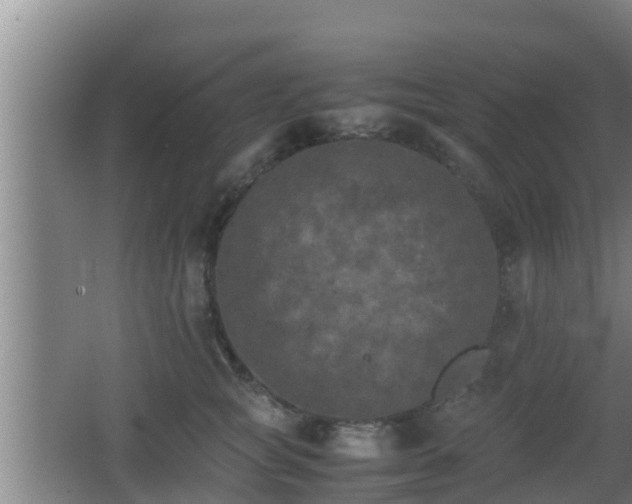 X0000062830757200601171419