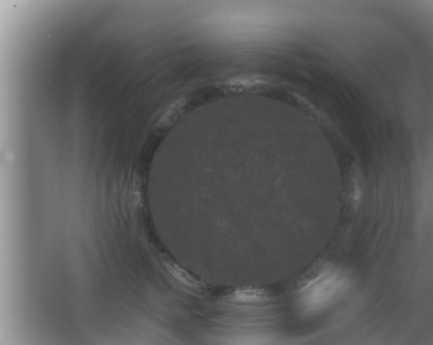 X0000062830758200601171419