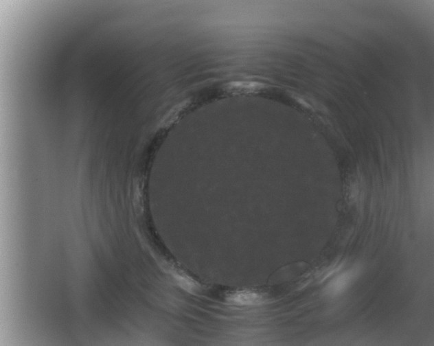 X0000062830759200601171419