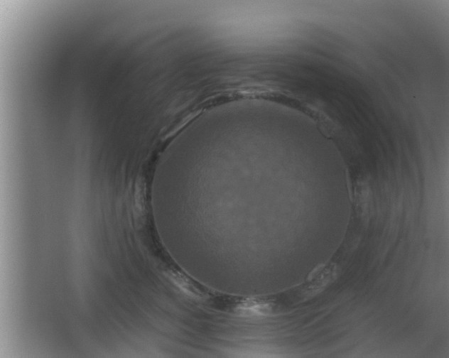 X0000062830760200601171419