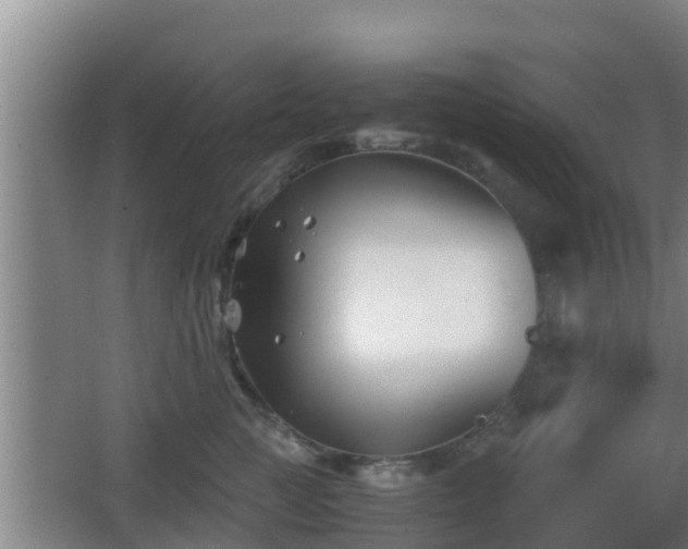 X0000062830761200601171419