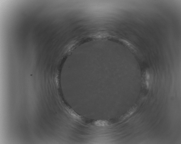 X0000062830762200601171419