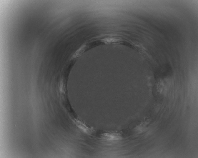 X0000062830763200601171419