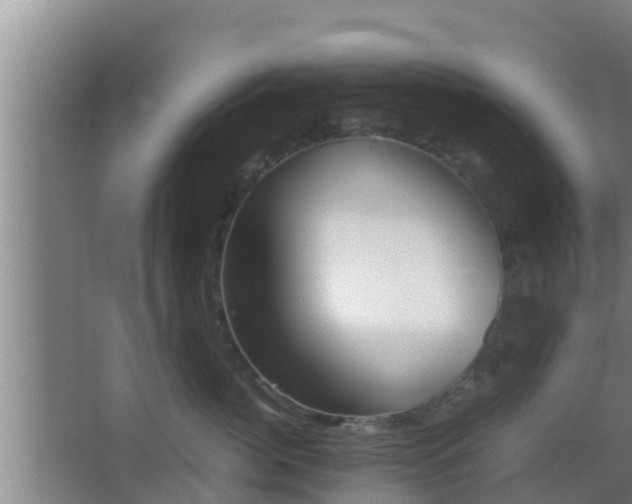 X0000062830764200601171419